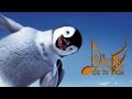 In My Room Happy Feet