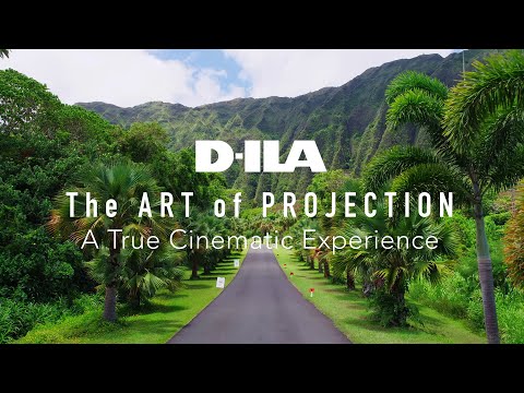 JVC DLA-NZ900/DLA-NZ800 - 2025 New Features with FREE Firmware Upgrade