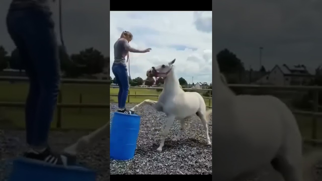 Untitled - Made with Flexclip