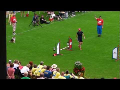 European Open 2012 - Individual finals - Marcy Mantell and Wave.