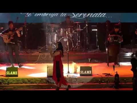 Jacinta Condori Serenata a Cafayate 2017  (parte 5/6)  Señora Macacha Güemes