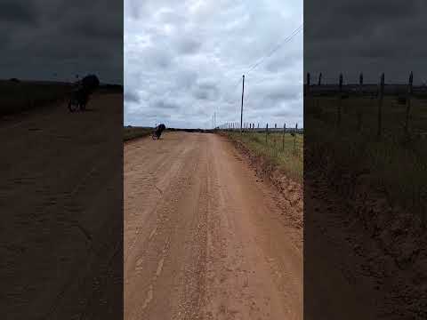 Strada em Inhambupe Água fria sátiro Dias