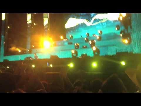 Cant Stop - Red Hot Chili Peppers (Martin Solveig EDC)