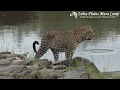 Zebra Plains Mara Camp Promotional Video