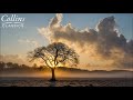 Sergei Prokofiev - "Classical" Symphony No. 1 in D Major, Op. 25: II. Larghetto