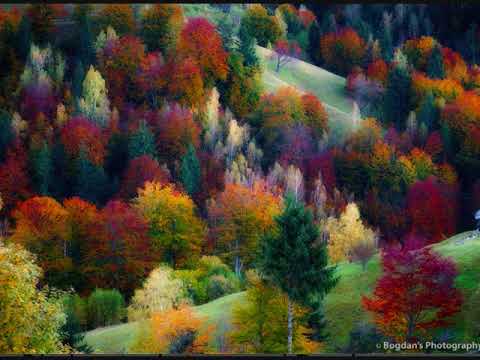 Cine-I oare meșter mare