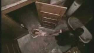 The Crow ~ Pool Of Fears