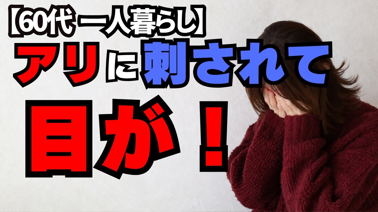 突然アリに刺されて、視力が大変な事になりました【60代一人暮らし】