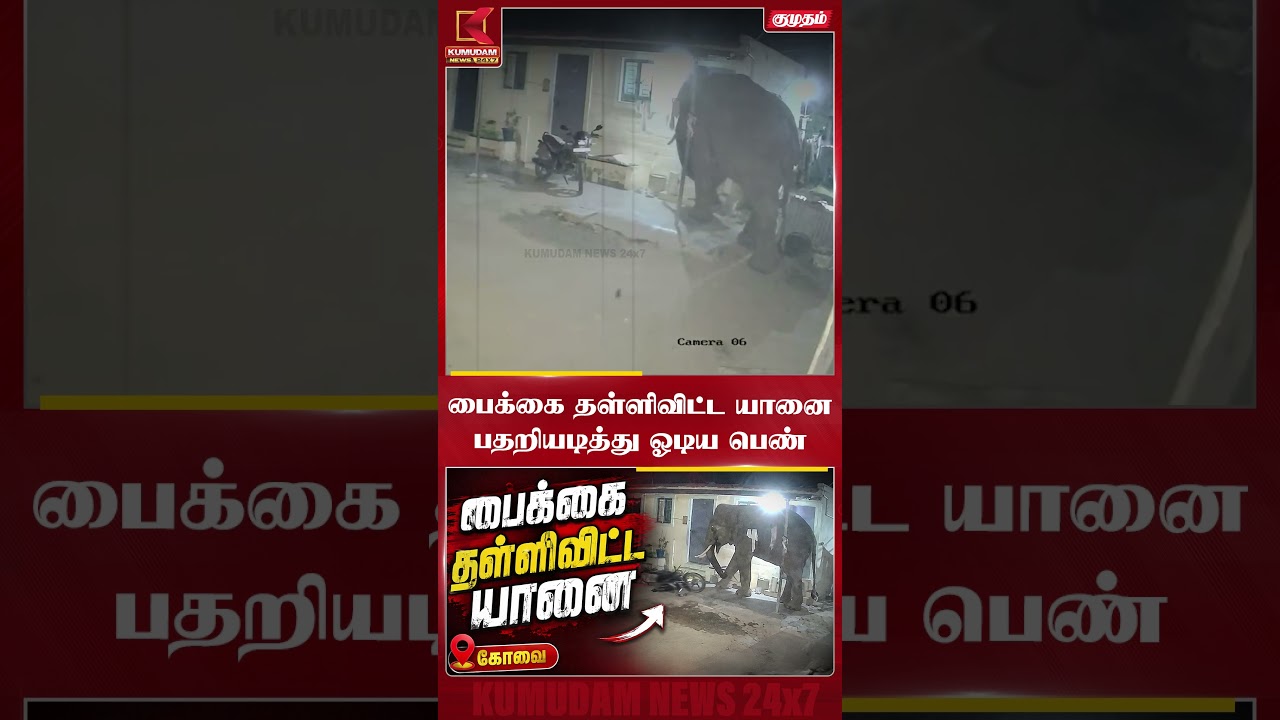 பைக்கை தள்ளிவிட்ட யானை பதறியடித்து ஓடிய பெண் | Covai | Elephant | Kumudam News