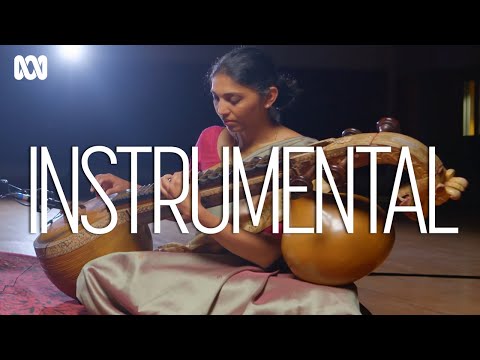 What makes the saraswati veena such a unique instrument? | Instrumental