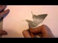 3D рисунок - Бабочка 