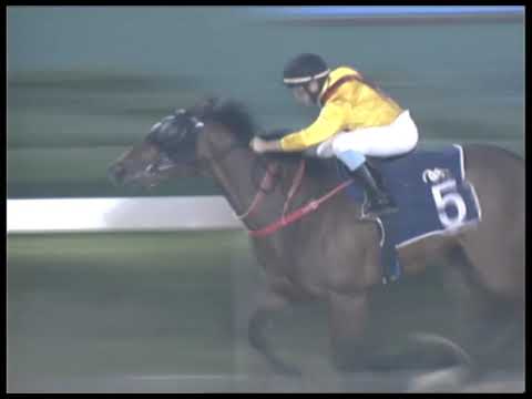 2019-02-22 Race 3(0159) - THE FORFAR