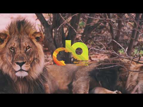 AdeJosh ft GB - FYPM (Prod ATG)