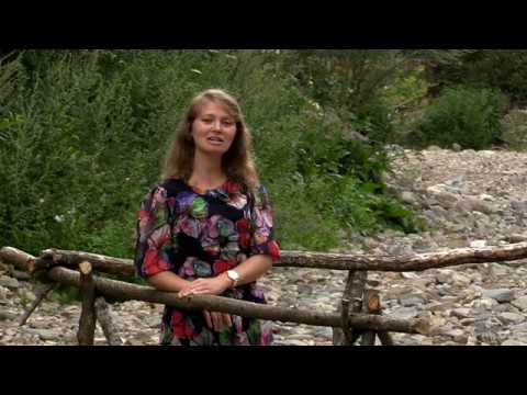 Dan Renata - Lacrimi nu-s, nici dureri (No more night)