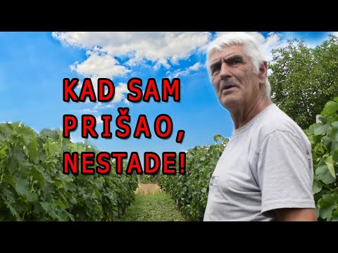 UKLETA MESTA u selu - SRPSKE MISTERIJE - JEZIVA ISTINITA PRIČA