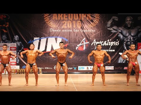 FISICOCULTURISMO SENIOR 80 k. NOVEL - MISS & MISTER AREQUIPA 2016