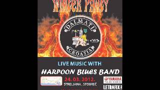 Shine On You Crazy Diamond (live) part 1.  - Harpoon Blues Band