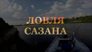 Ссылка