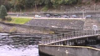 preview picture of video 'Pitlochry Dam, Fish Ladder & Scottish Hydro Power Station'