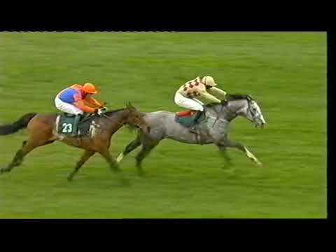 2009 Fulke Walwyn Kim Muir Chase - Cheltenham Festival