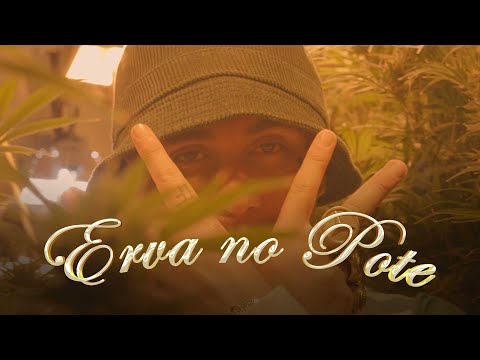 3. Felp 22 - Erva no Pote 🍯 (Clipe Oficial)