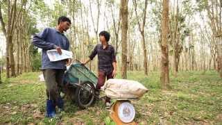 Pluto Products - Rubber (ยางพารา)