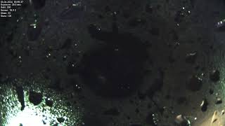 All sky camera capture from Poiana Rusca Mountains 2024-04-02
