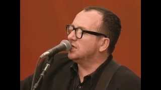 Elvis Costello - Radio Sweetheart / Jackie Wilson Said - 7/25/1999 - Woodstock 99 (Official)