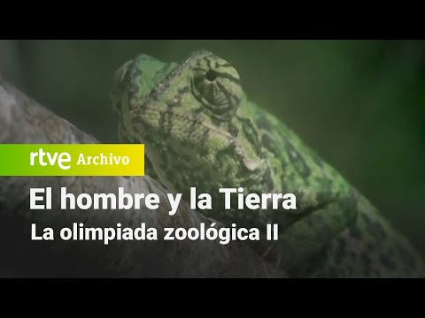 El hombre y la tierra: Chapter 57 - The Zoological Olympiad II | RTVE Archivo