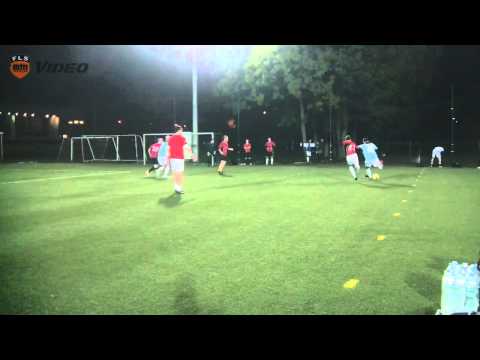 8. tydzień: Bażanty - GEO-ZENIT (FLS Jesień 2013)