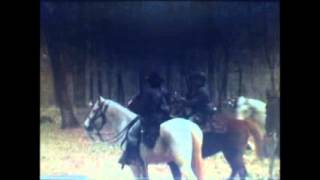 LOWLY LONESOME STRANGER