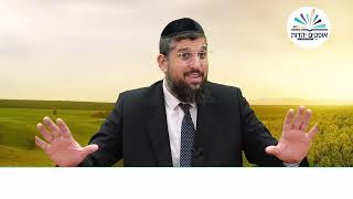 מפתיע, היועץ החדש זרובבל בן שאלתיאל | דניאל | פרק ו  - 3 |  הרב אליהו עמר (הרב אליהו עמר) - התמונה מוצגת ישירות מתוך אתר האינטרנט יוטיוב. זכויות היוצרים בתמונה שייכות ליוצרה. קישור קרדיט למקור התוכן נמצא בתוך דף הסרטון