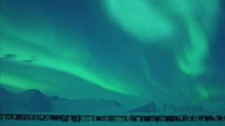 Bamse - En Rose Så Jeg Skyde