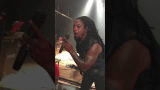 Sevendust   Shine 2