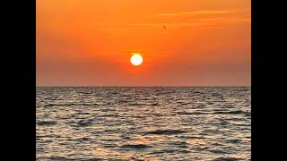 Download lagu Surah Al Waq'ah by Sheikh Mohammed Al-faqih. mp3 Download lagu Surah Al Waq'ah by Sheikh Mohammed Al-faqih. mp3