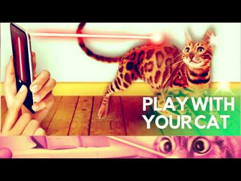 Game for cats! Video