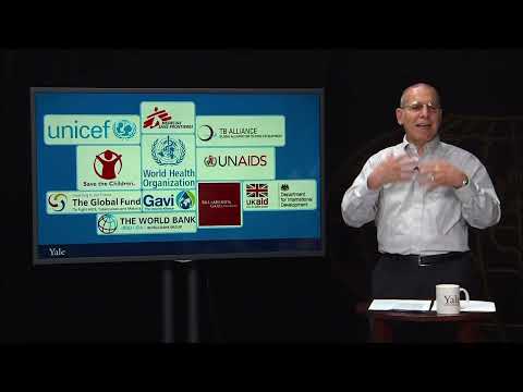 The Global Health Context and Who Plays