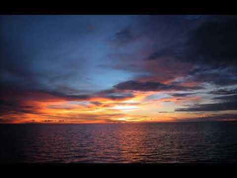 Tiesto Feat. C.C. Sheffield - Escape Me (Avicii's At Night Remix)