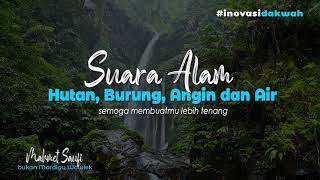 Download lagu suara alam terbaik bikin kamu tenang | hutan, burung, angin dan air mp3
