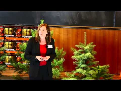 Lori Daniels - "Wildfire: More Good Than Harm"