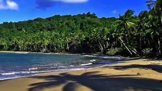 rippingtons carribean breeze album