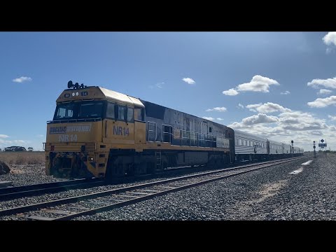 Pacific National NR14 in (Real train’s) livery leads 1AM8 the Overland at Gheringhap loop 3/12/2023