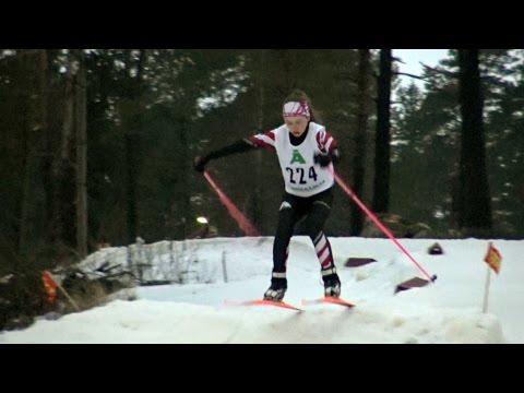 PIF Ski Cross 1.3.2017