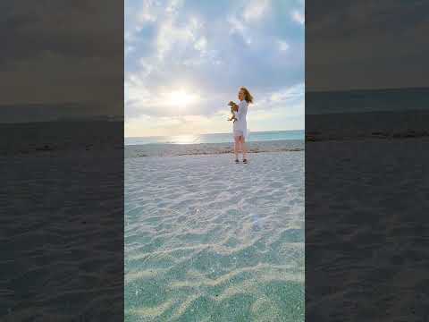 Chiweenie at the beach