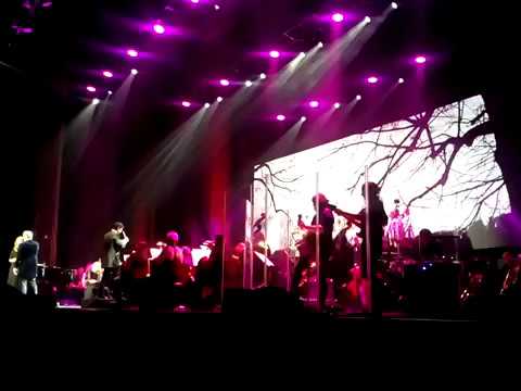 Budu tu stát - Monika Absolonova a David Deyl