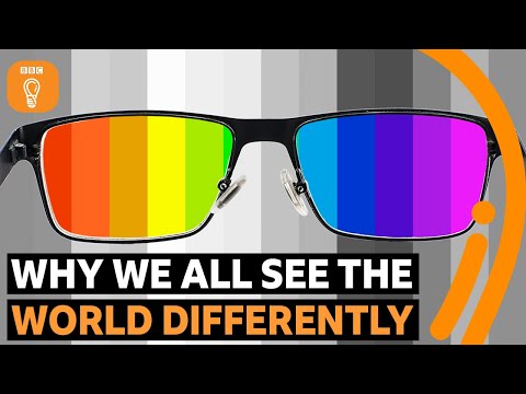 Are we all living in a hallucination? | BBC Ideas