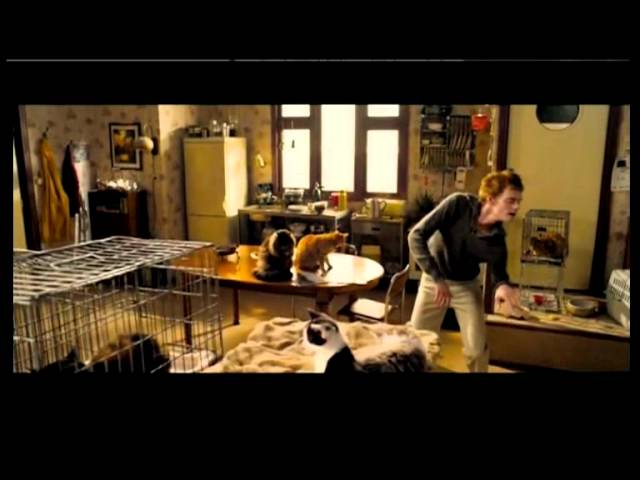 kattenkwaad - nova van dijk trailer