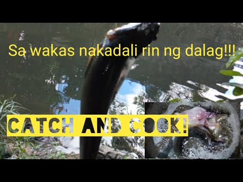 Tiksay Fishing-snake head Hunting