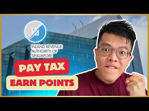 Cityfheps Payment Standards 2024