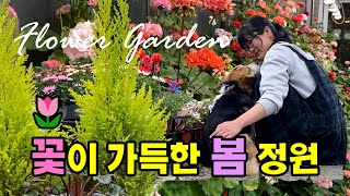 꽃이 가득한 정원제라 4월 봄날의정원